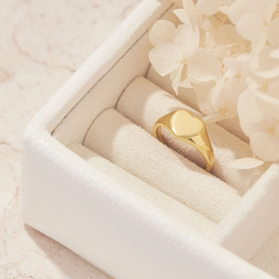 Amore Signet Ring - Gold